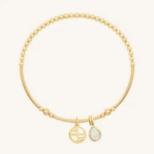 Moonstone Trove Charm Bracelet